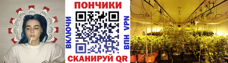 Марихуана THC 21%  Кировск 